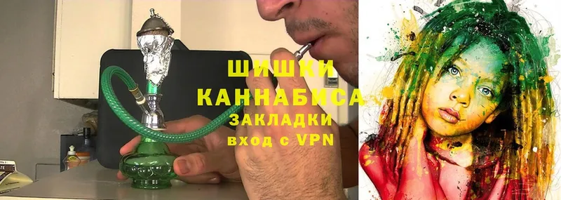 Каннабис White Widow  Буй 